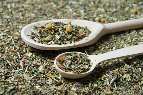 Wooden spoon and various herbs in a herbalist photo