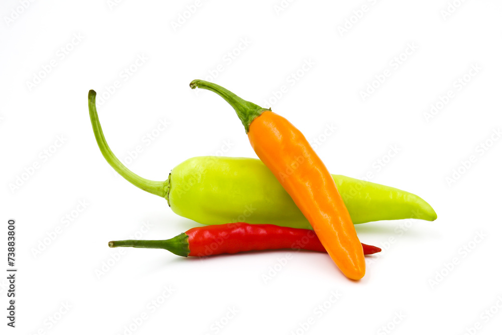 Hot chili pepper isolated on a white background Hot chili pepper isolated on a white background