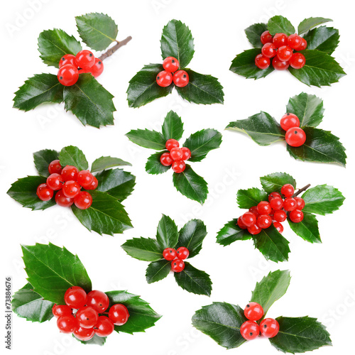 Obraz na plátne Leaves of mistletoe with berries collage, isolated on white