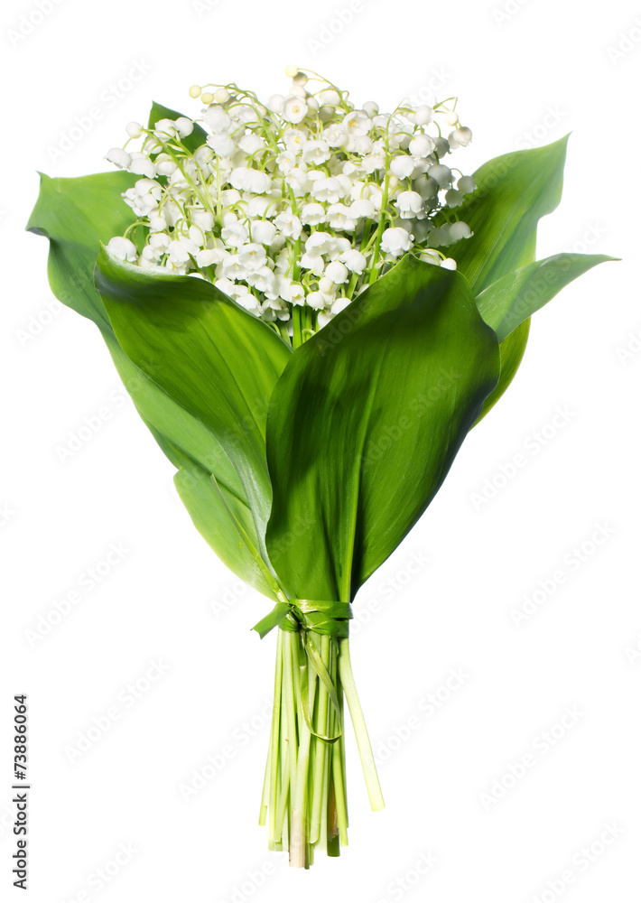 Obraz premium Spring flowers