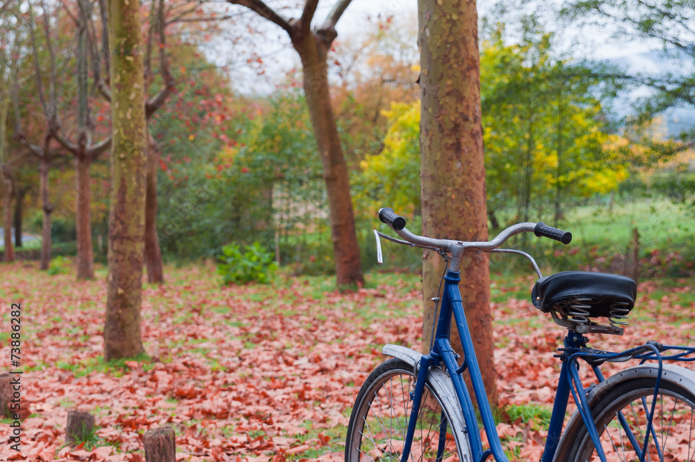 Fototapeta premium Vintage bicycle leaning against a tree and autumn leaves