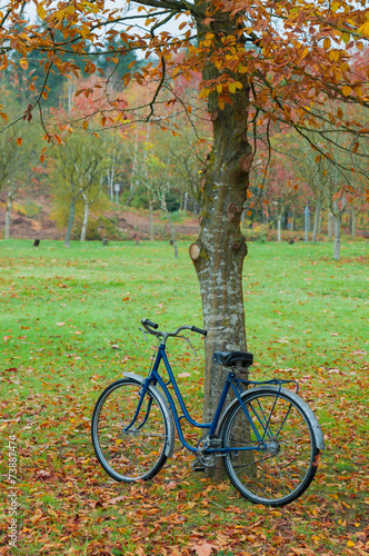 Vintage bicycle leaning against a tree and autumn leaves © irantzuarb