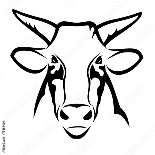 Bull head