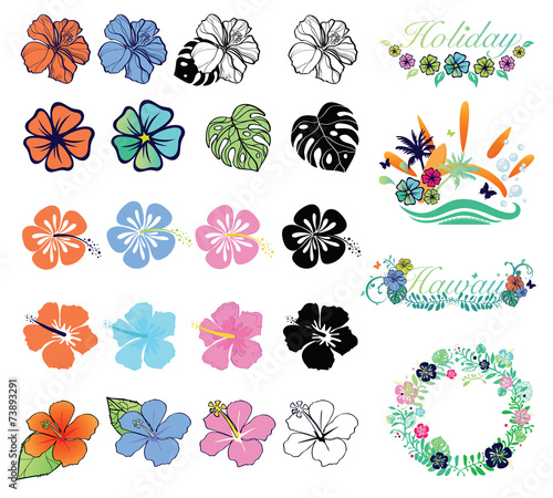 Set of hibiscuses and designs on summer theme