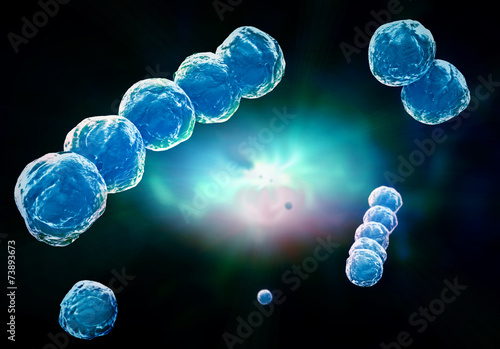 Obraz na plátně Streptococcus