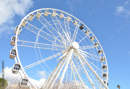 Ferris Wheel at the Victoria and Albert Waterfront in Cape Town