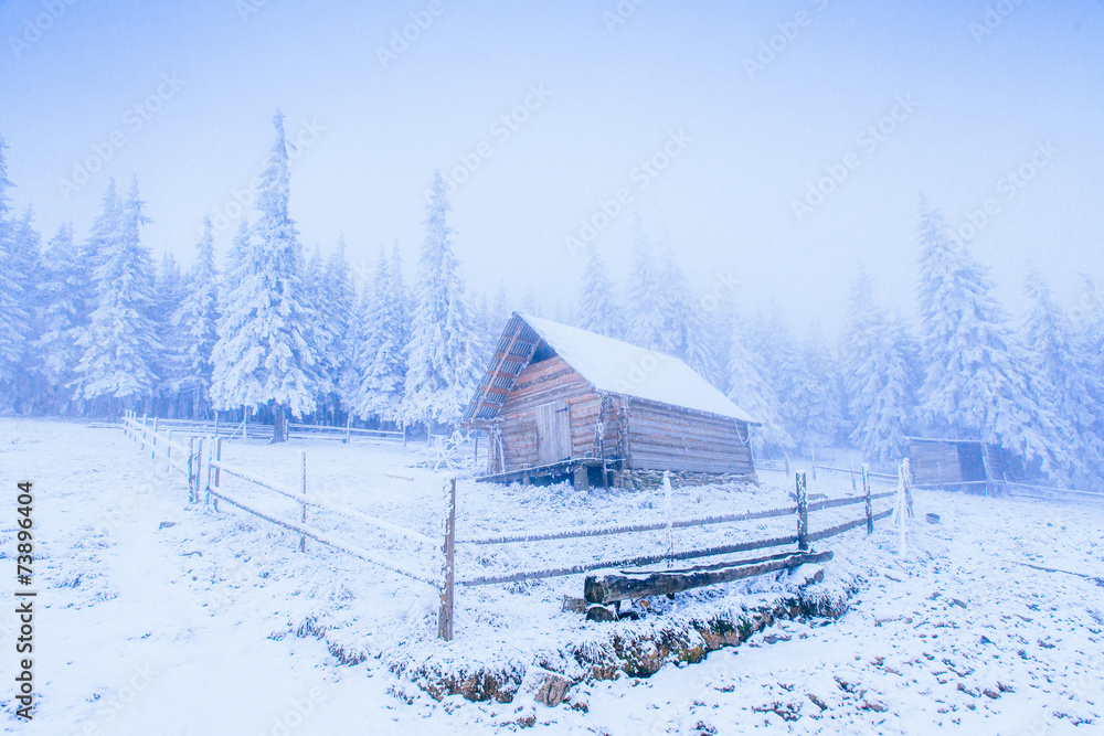 Idyllic cottage in winter