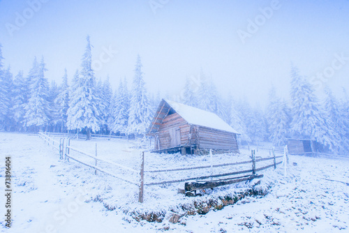 Idyllic cottage in winter © standret