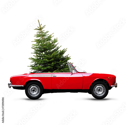 Weihnachtsbaum im Caprio