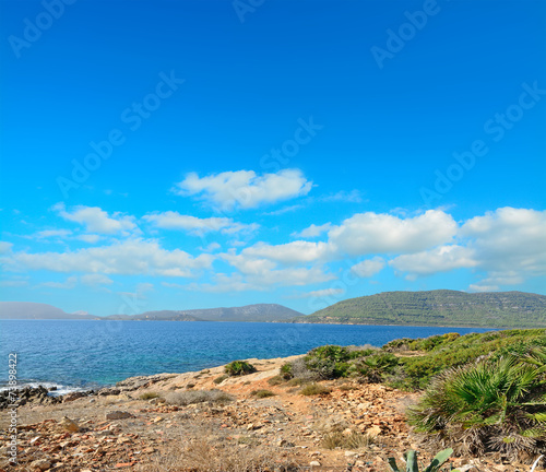 Porto Conte shore line