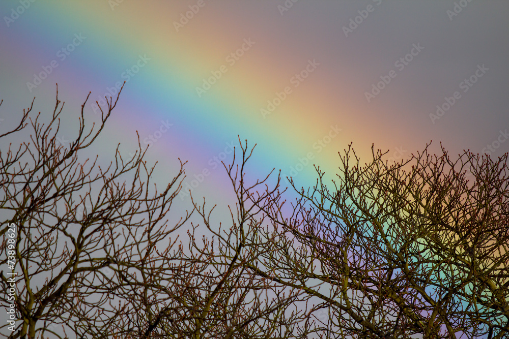 Obraz premium Rainbow