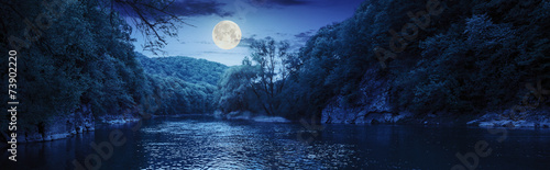 forest river with stones on shores at night