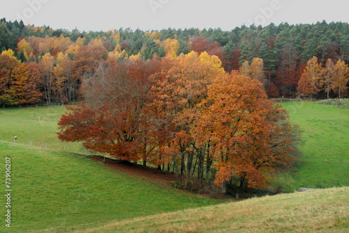 Photos Bäume im Herbst