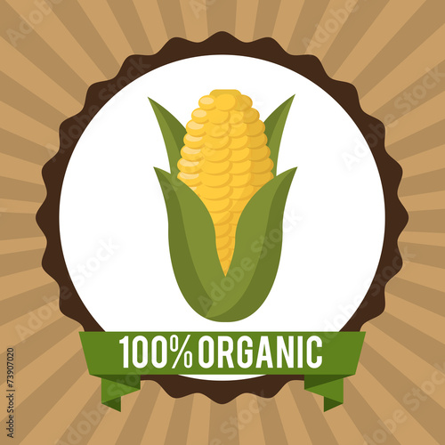 organic healthy food design