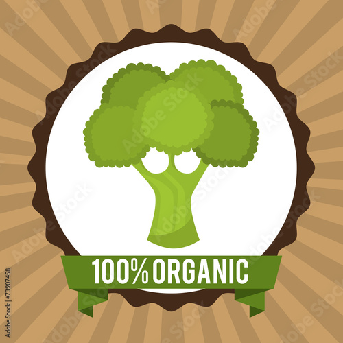 organic healthy food design