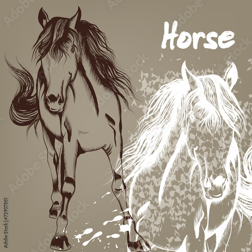 Hand drawn background with horse