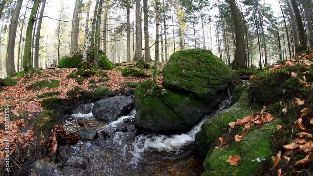 Bayrischer Wald Bayrischer Wald