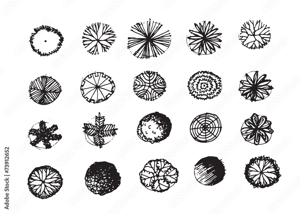 Trees top view for architecture landscape design projects