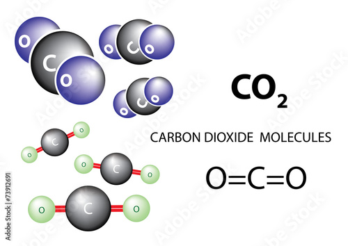 Carbon dioxide molecules