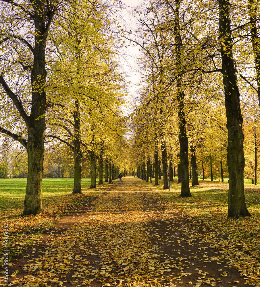 Fototapeta premium Herbst