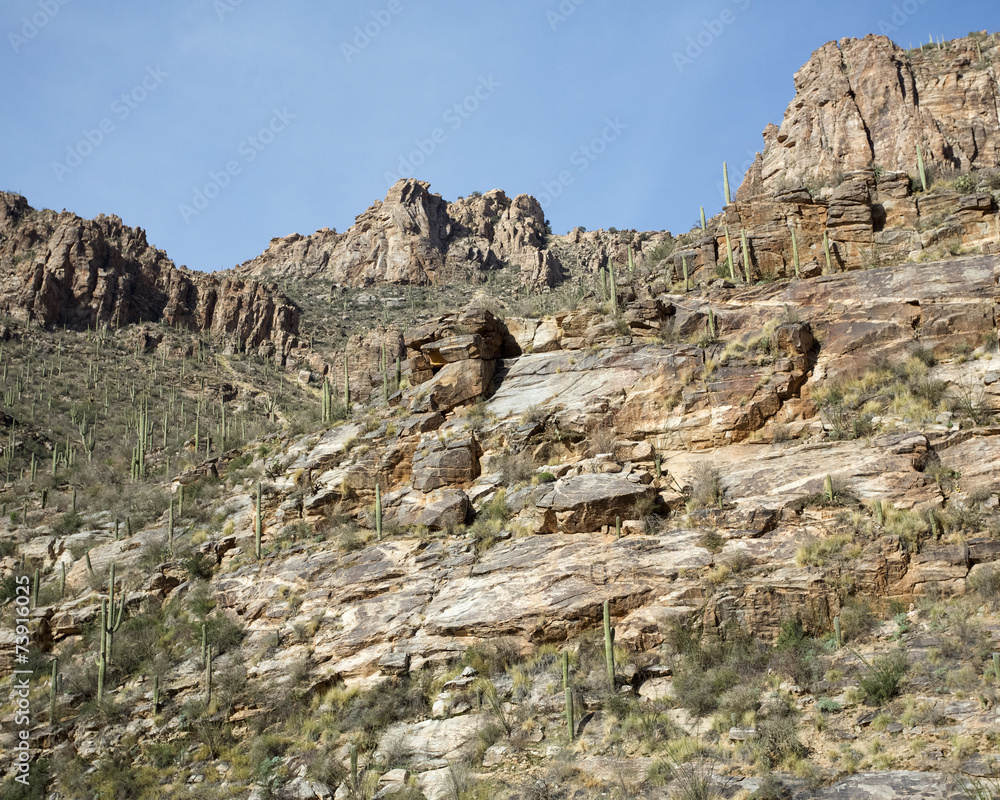 Rocky Canyon