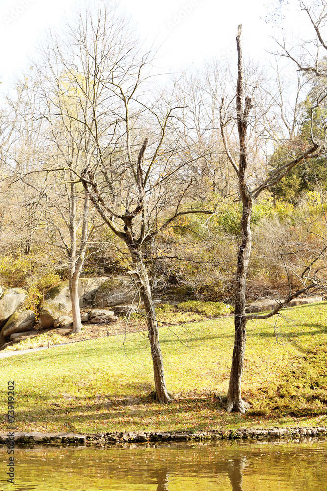 Beautiful nature background