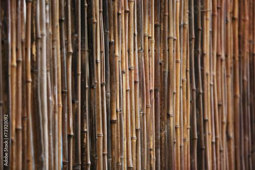 Bamboo fence background