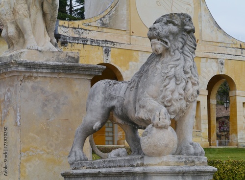 A lion in the park of the villa di Maser in Italy
