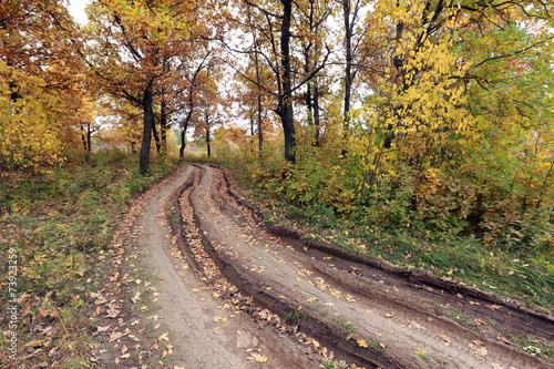 dirt road in autumn forest © salman2