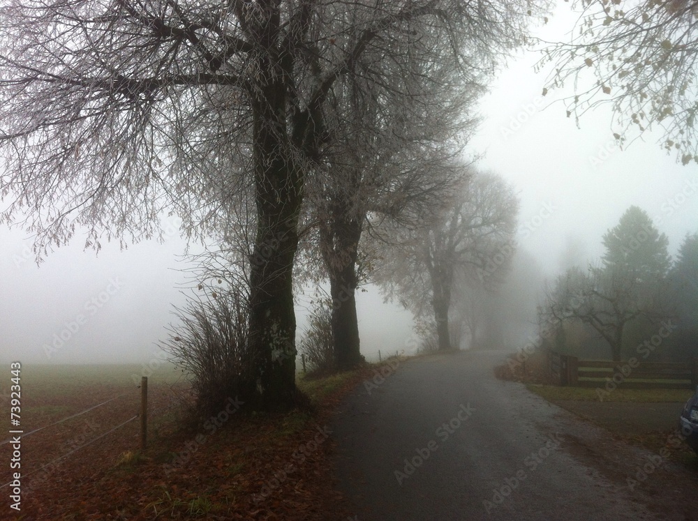 Obraz premium Straße im Nebel