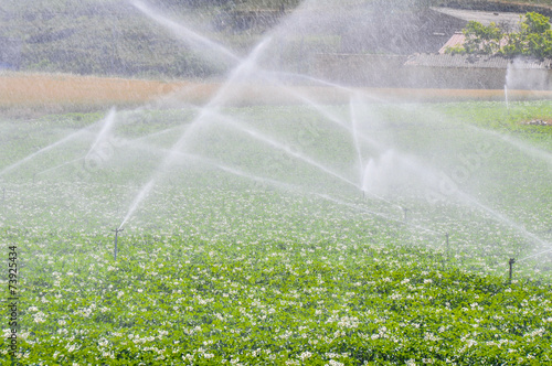Irrigation sprinklers in a farm field (Spain)