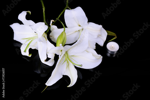 Fototapeta Naklejka Na Ścianę i Meble -  Beautiful lily isolated on black