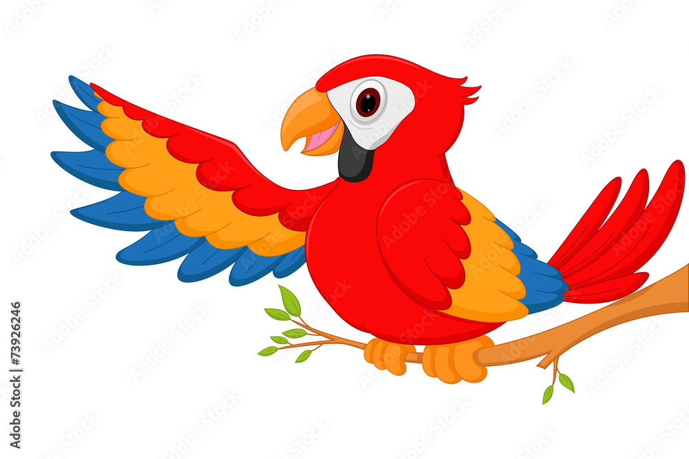 Happy macaw bird cartoon