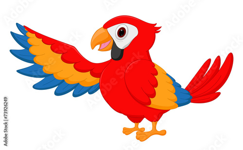 Happy macaw bird cartoon © musri
