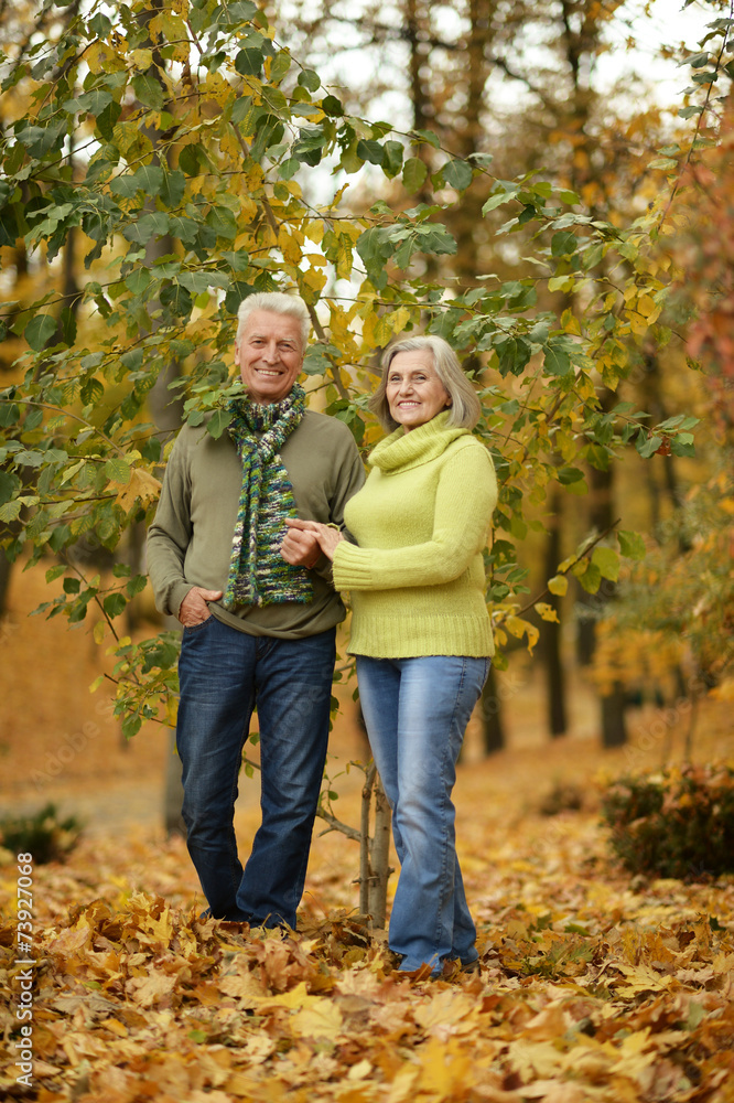 Mature couple in the autumn park Mature couple in the autumn park
