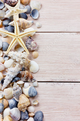 Starfish and seashells on a wooden rustic board