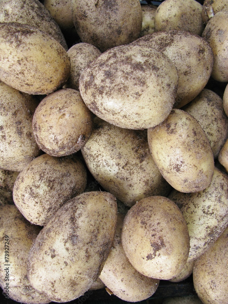 Potatoes at the greengrocer on the market place Potatoes at the greengrocer on the market place