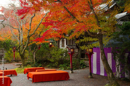 常照寺　庭園