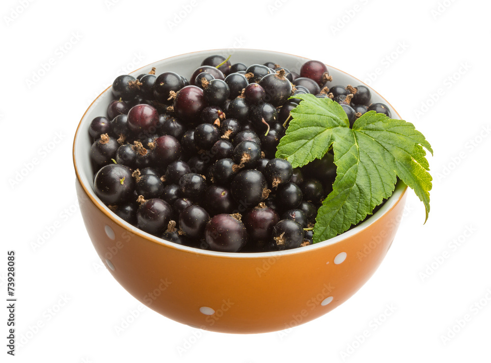 Black currant Black currant