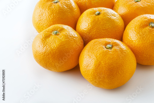 みかん　Mandarin orange　Mikan