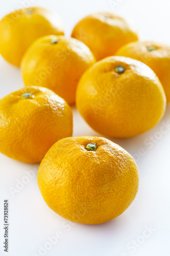 みかん Mandarin orange Mikan