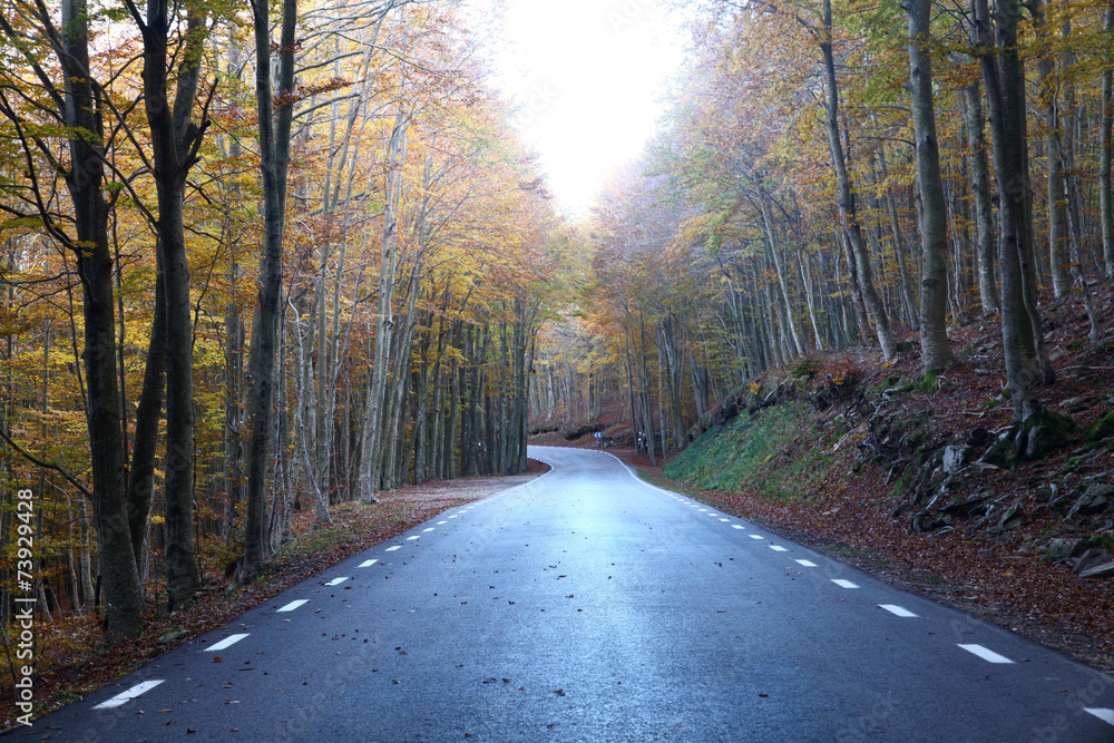 Obraz premium destino