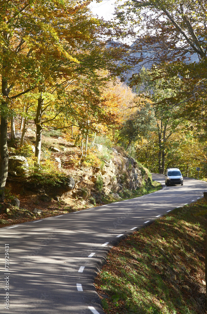 Fototapeta premium carretera