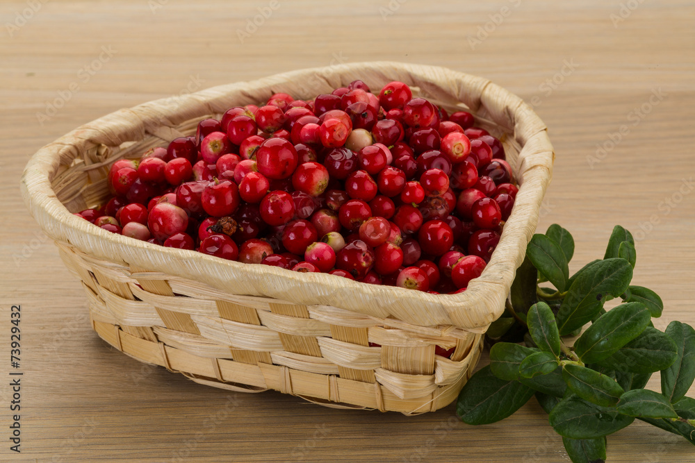 Cowberry Cowberry
