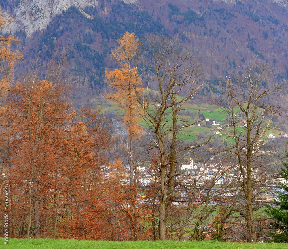 Fototapeta premium Region de Sargans