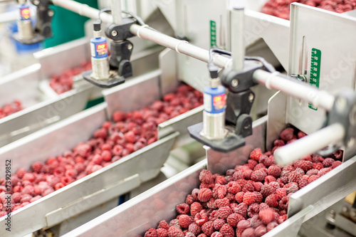 Obraz na płótnie frozen raspberry processing business w salonie