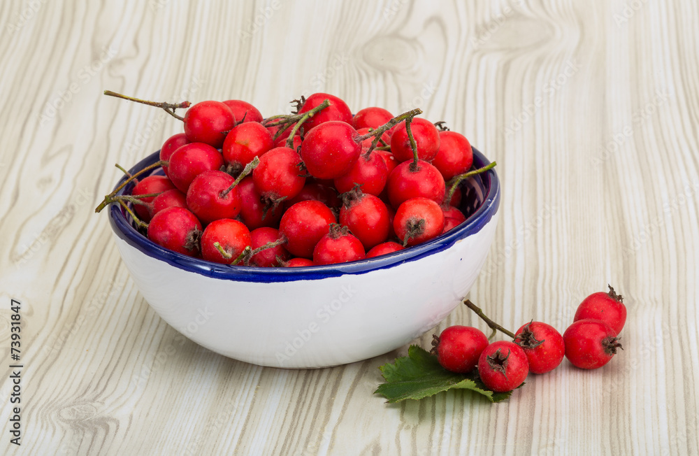 Hawthorn Hawthorn