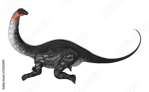 Dinosaur Apatosaurus © photosvac