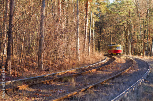 tram in forest