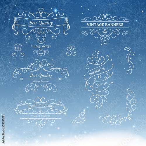 Vector Illustration of Ornate Frames and Scroll Design Elements photo